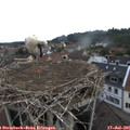 08_20-nest.jpg