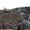 08_25-nest.jpg