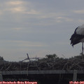 08_30-mast.jpg