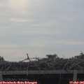 08_35-mast.jpg