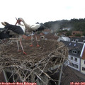 08_45-nest.jpg