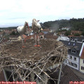 09_20-nest.jpg