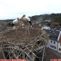 09_25-nest.jpg