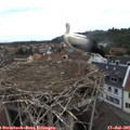 09_35-nest.jpg