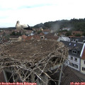 09_40-nest.jpg