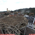 09_45-nest.jpg