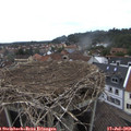 11_55-nest.jpg