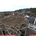 12_00-nest.jpg