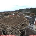 12_05-nest.jpg