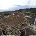 12_10-nest.jpg