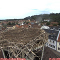 12_15-nest.jpg