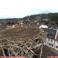 12_20-nest.jpg