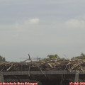 12_25-mast.jpg