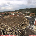12_25-nest.jpg
