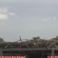 12_30-mast.jpg