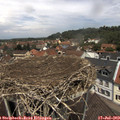 12_30-nest.jpg