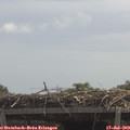 12_35-mast.jpg