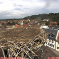 12_35-nest.jpg
