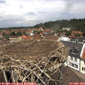 12_40-nest.jpg