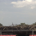12_45-mast.jpg