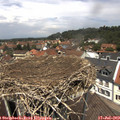 12_45-nest.jpg