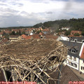 12_50-nest.jpg
