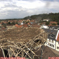 12_55-nest.jpg