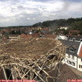 13_00-nest.jpg