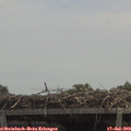 13_05-mast.jpg