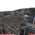 13_10-nest.jpg