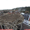 13_15-nest.jpg
