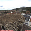 13_20-nest.jpg