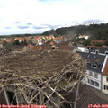 13_25-nest.jpg