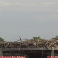 13_30-mast.jpg