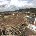 13_30-nest.jpg