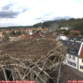 13_35-nest.jpg