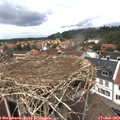 13_40-nest.jpg