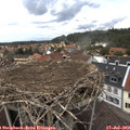 13_45-nest.jpg