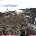 14_05-nest.jpg