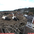 14_30-nest.jpg