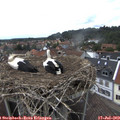 14_35-nest.jpg