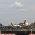 14_40-mast.jpg
