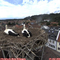 14_40-nest.jpg