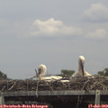 14_45-mast.jpg