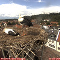 14_55-nest.jpg