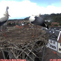 15_10-nest.jpg