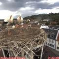 15_55-nest.jpg