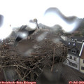 16_15-nest.jpg