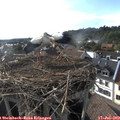 18_20-nest.jpg