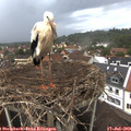 19_40-nest.jpg